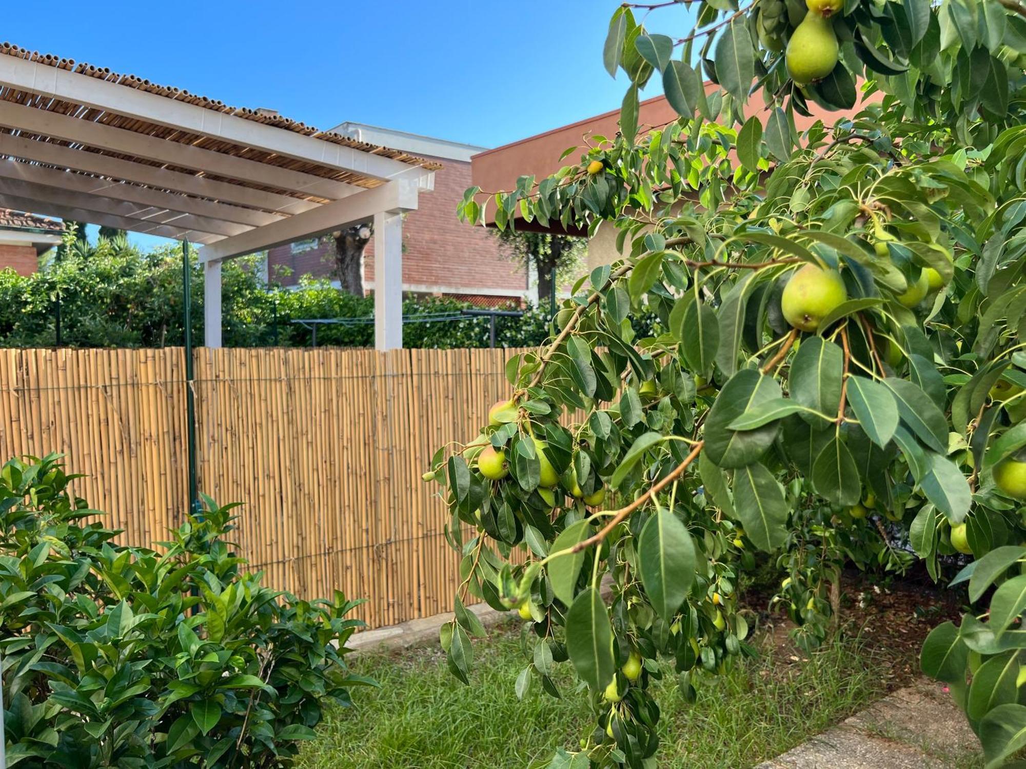 Civiconove Apartment Piombino Exterior photo